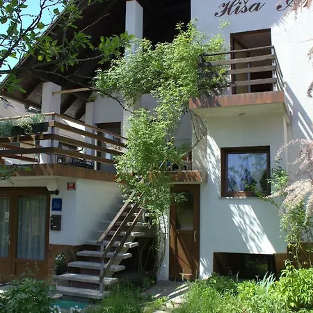 Apartment Anton Bovec