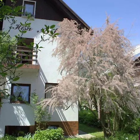 Apartment Anton
