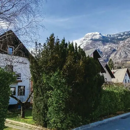 Apartment Anton